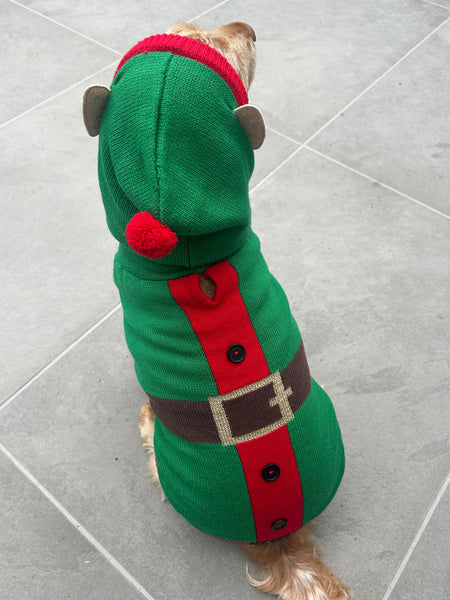 Elf Christmas Dog Jumper