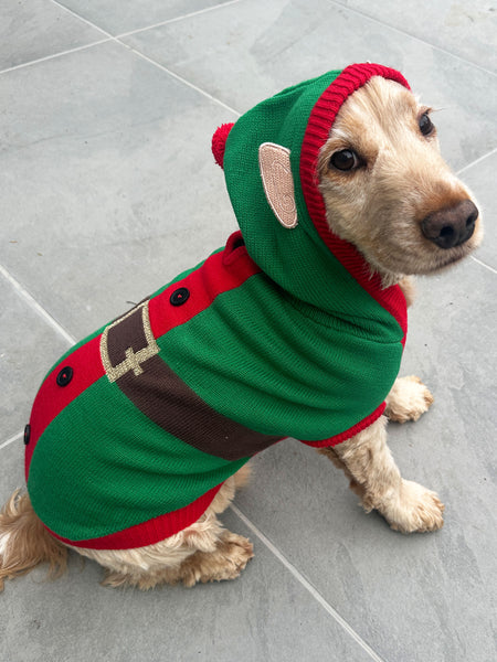 Elf Christmas Dog Jumper