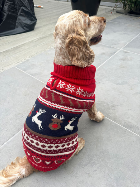 Ruby Red Fairisle Dog Jumper
