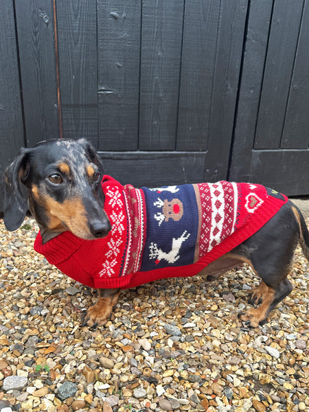 Ruby Fairisle Miniature Dachshund Jumper