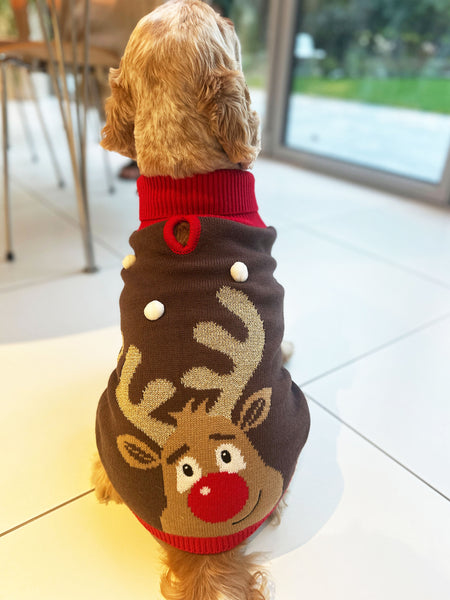 Rudolf Dog Jumper