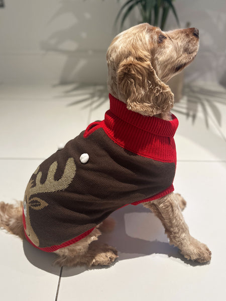 Rudolf Dog Jumper