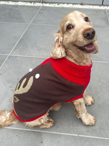 Rudolf Dog Jumper