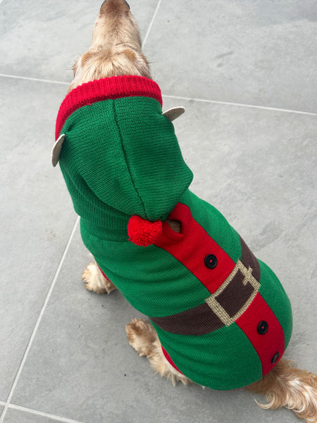 Elf Christmas Dog Jumper