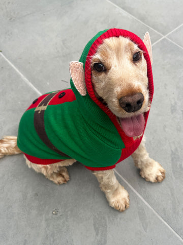 Elf Christmas Dog Jumper