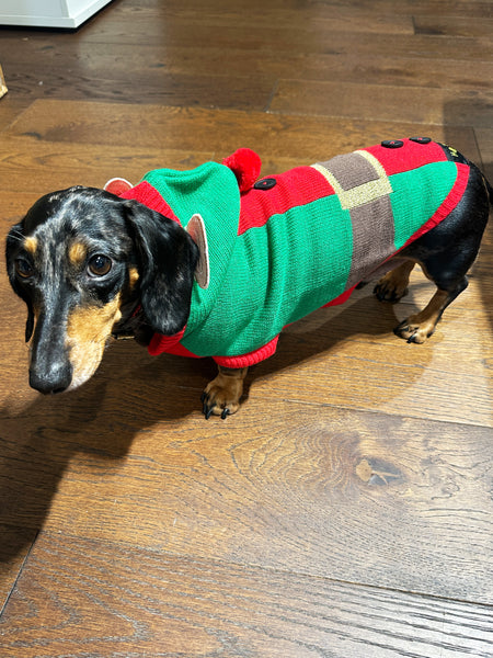 Elf Miniature Dachshund Jumper