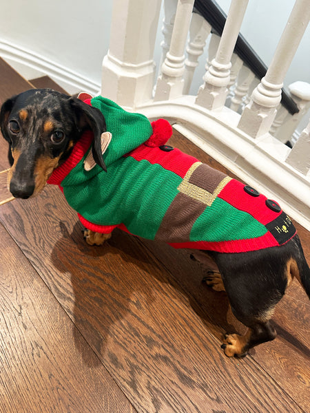 Elf Miniature Dachshund Jumper