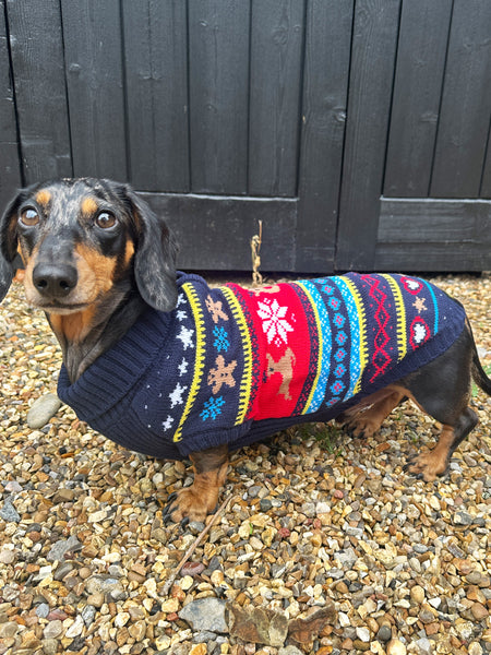 Blue Fairisle Miniature Dachshund Jumper