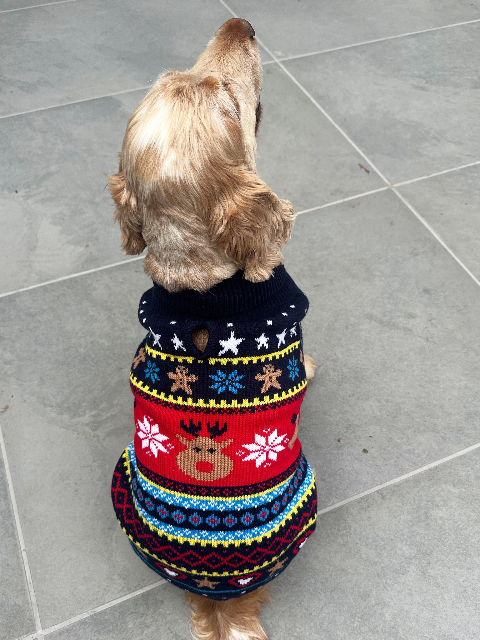 Blue Fairisle Dog Jumper