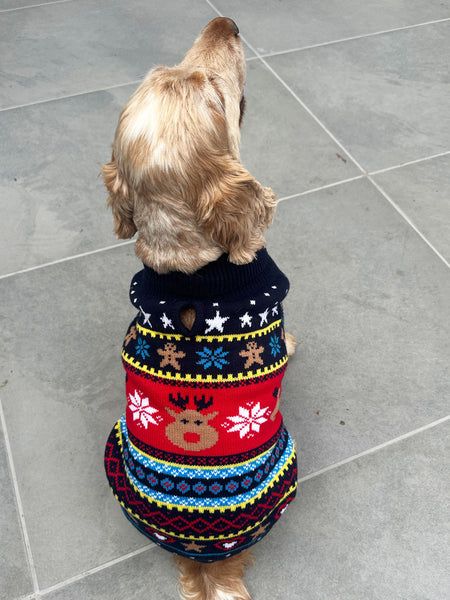Blue Fairisle Dog Jumper