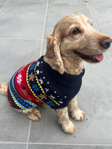 Blue Fairisle Dog Jumper