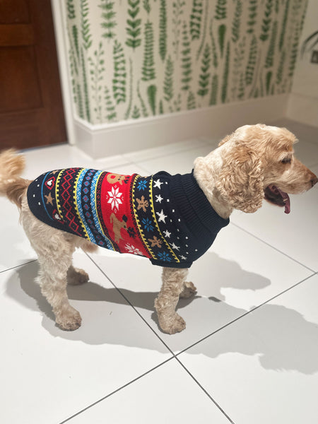 Blue Fairisle Dog Jumper