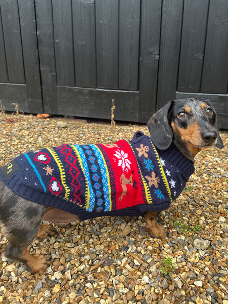 Blue Fairisle Miniature Dachshund Jumper