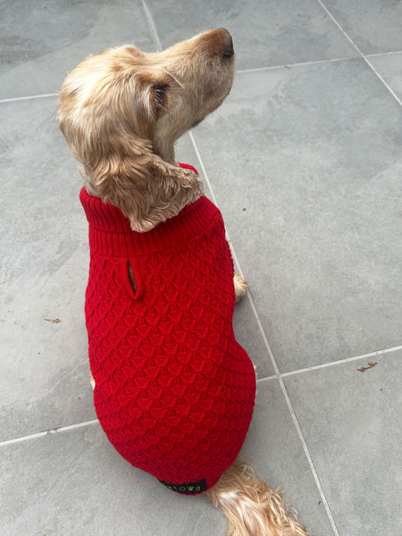 Red Cable Dog Jumper