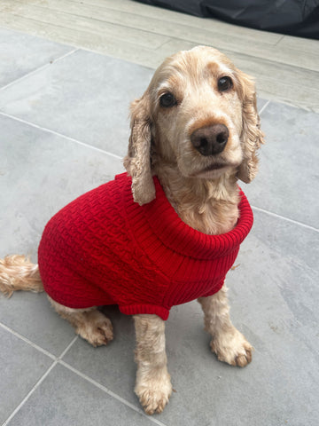 Red Cable Dog Jumper