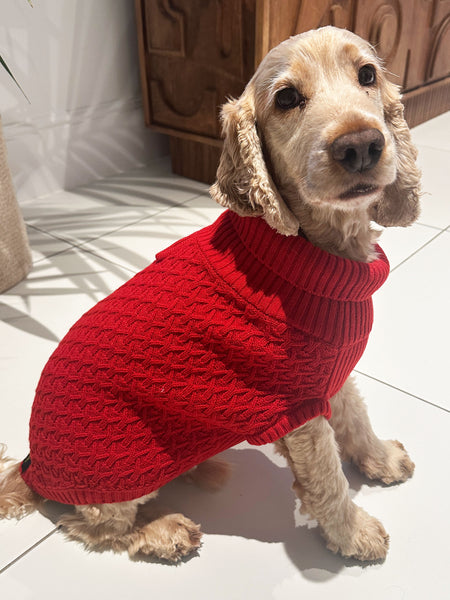 Red Cable Dog Jumper