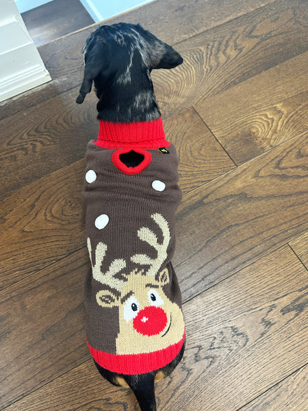 Rudolf Miniature Dachshund Jumper