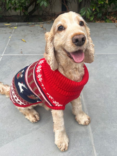 Ruby Red Fairisle Dog Jumper
