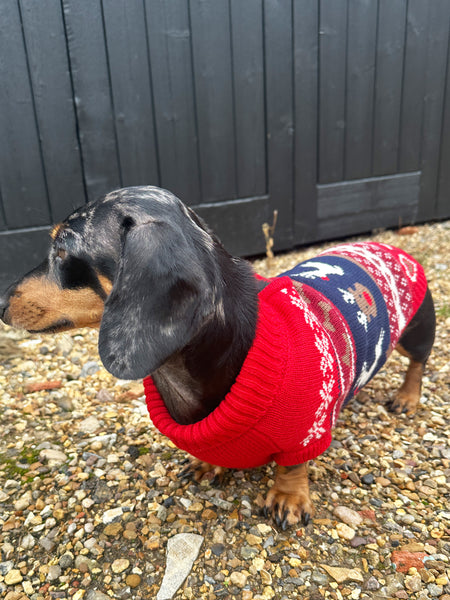 Ruby Fairisle Miniature Dachshund Jumper