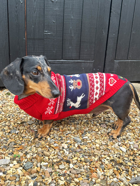 Ruby Fairisle Miniature Dachshund Jumper