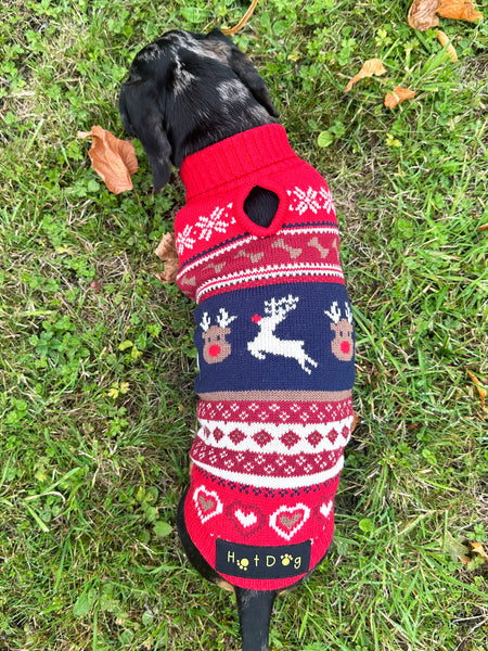 Ruby Fairisle Miniature Dachshund Jumper