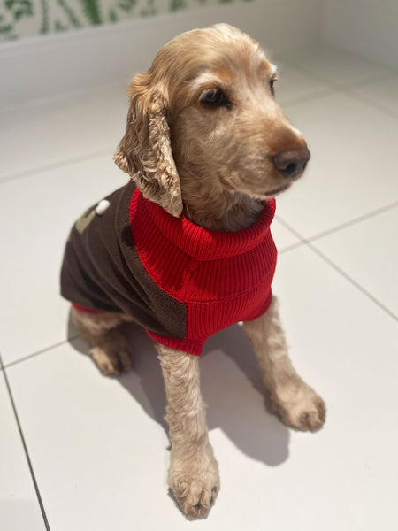 Rudolf Dog Jumper
