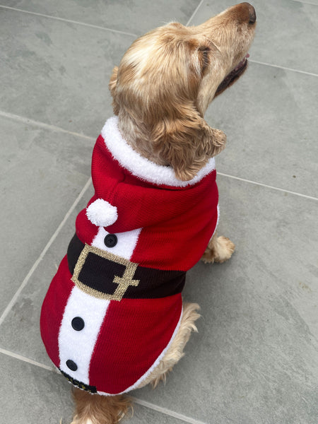 Santa Christmas Dog Jumper
