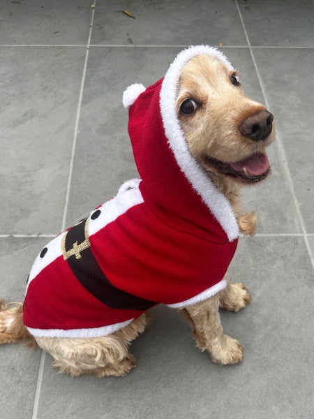 Santa Christmas Dog Jumper