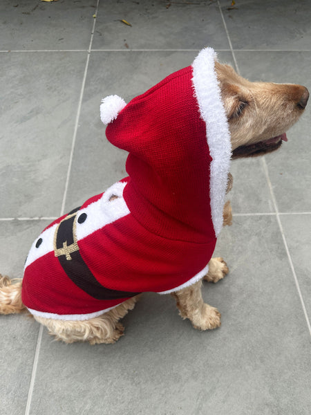 Santa Christmas Dog Jumper