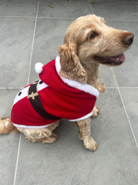 Santa Christmas Dog Jumper