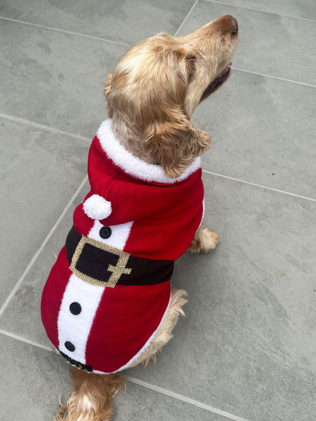Santa Christmas Dog Jumper