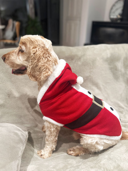 Santa Christmas Dog Jumper