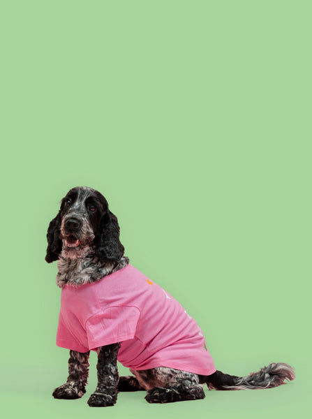 Pink Birthday Dog T-Shirt