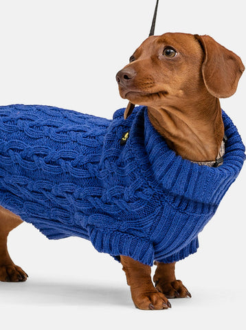 Blue Miniature Dachshund Jumper