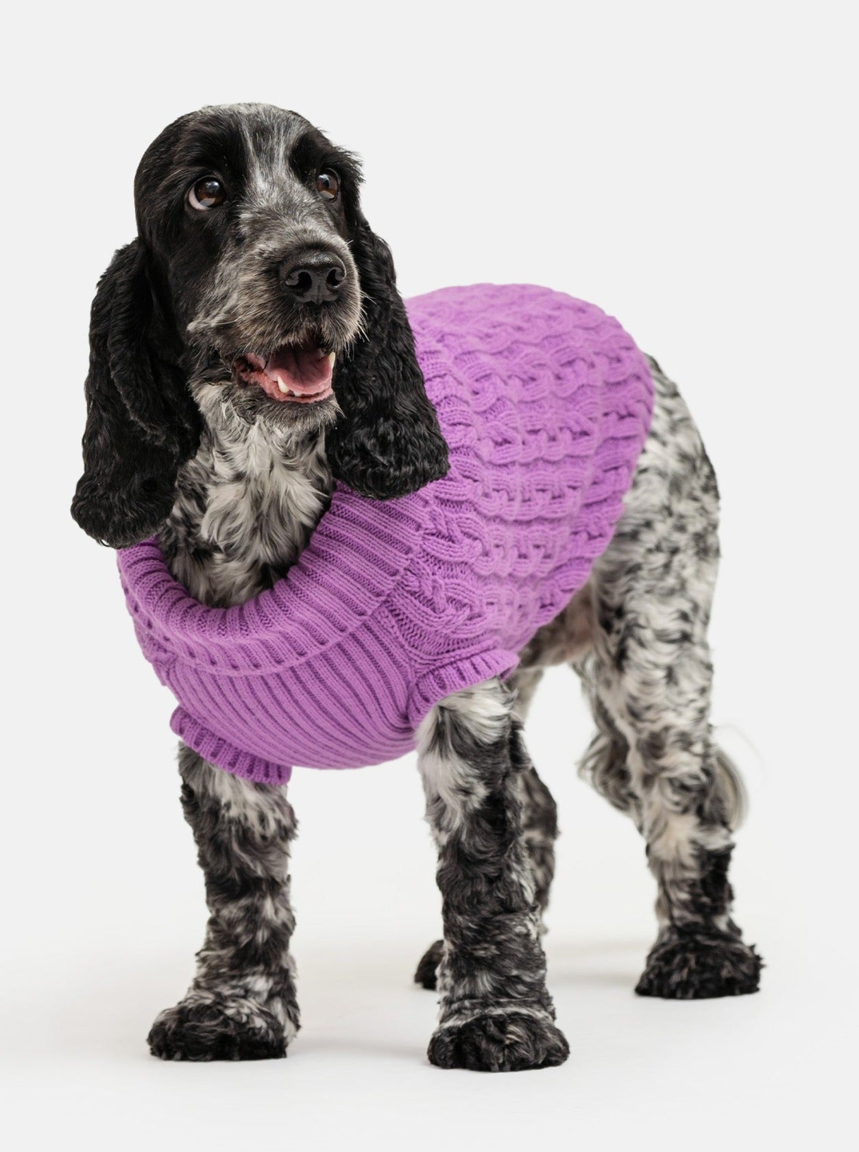 Plain Mauve Jumper