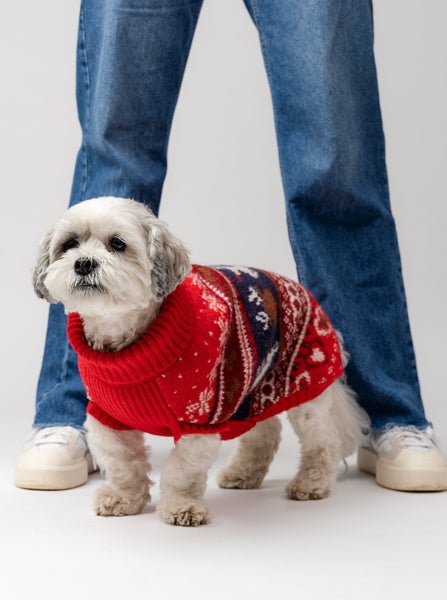 Ruby Dog Jumper