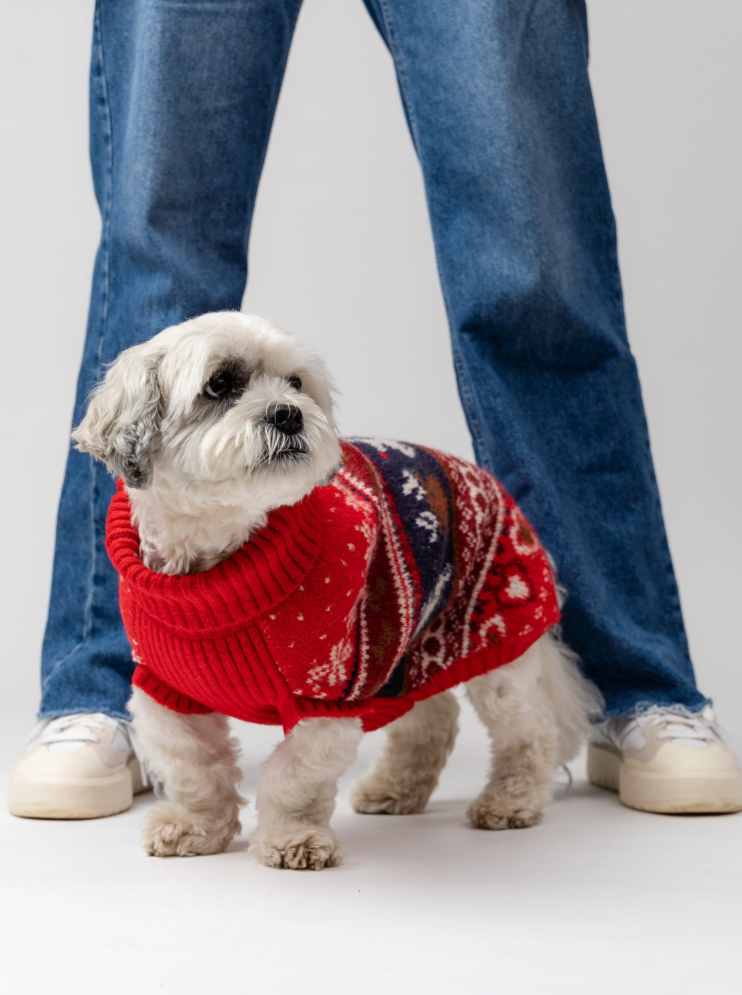 Ruby Dog Jumper