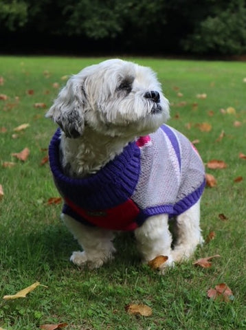 Union Jack Purple Jumper