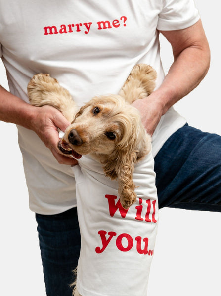 The Proposal Set