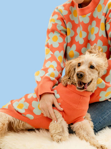 Orangeflower Dog Jumper