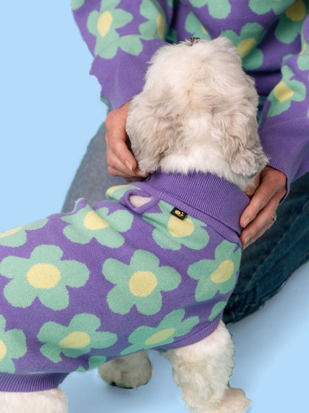 Purpleflower Dog Jumper