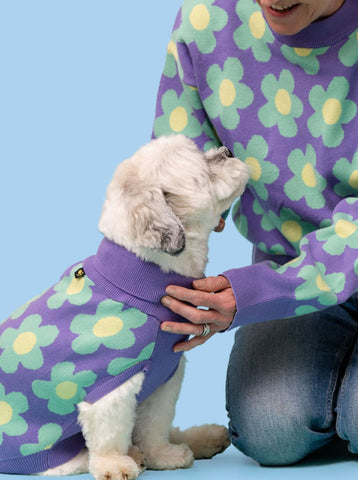 Purpleflower Dog Jumper