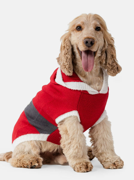 Santa Dog Jumper