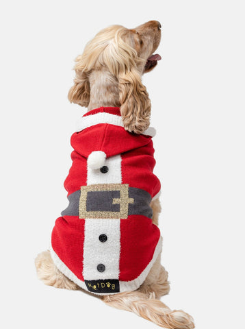 Santa Dog Jumper