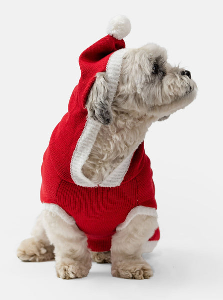 Santa Dog Jumper