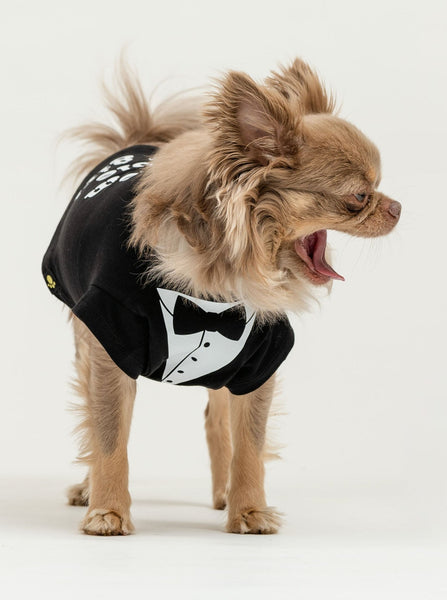 Stole My Girl Wedding Dog T-Shirt