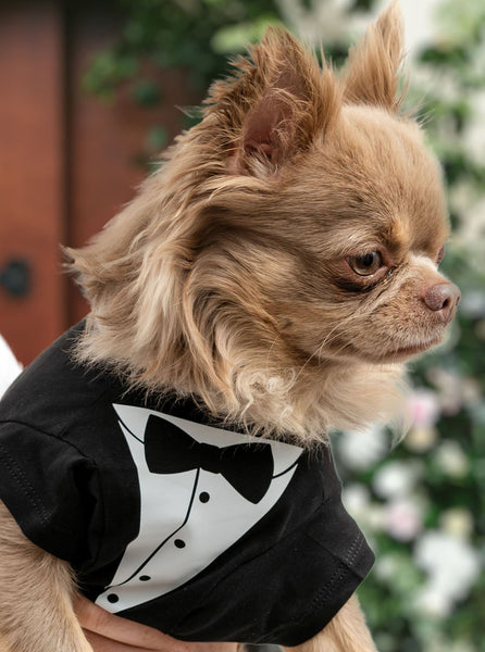 Stole My Girl Wedding Dog T-Shirt