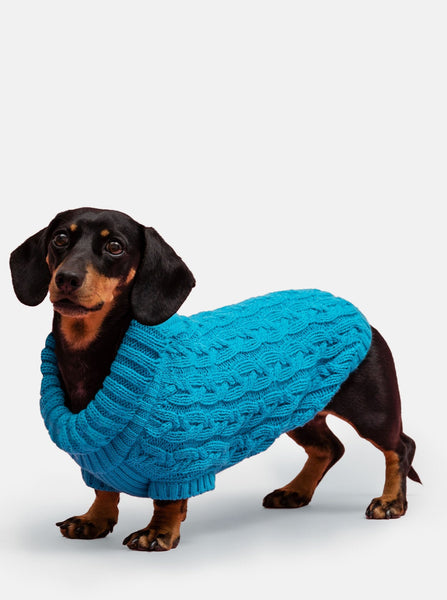 Turquoise Miniature Dachshund Jumper