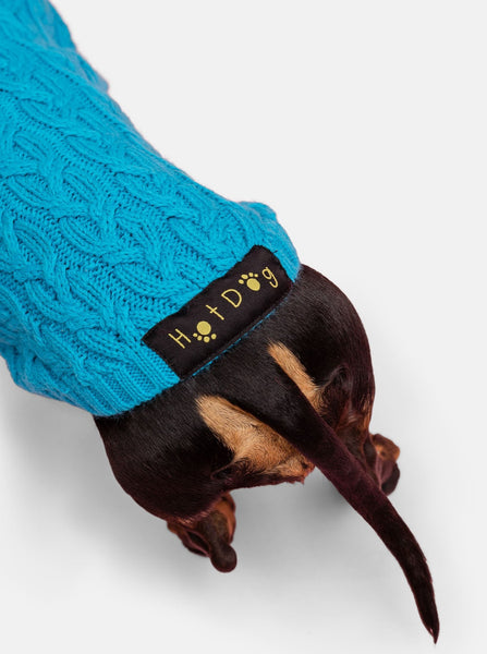Turquoise Miniature Dachshund Jumper