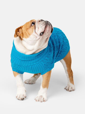 Plain Turquoise Jumper